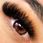 Individual (cluster) Lashes