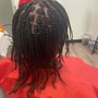 Starter Dreadlocks