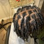 Individual Braids/Two Strand Twists