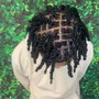 Loc Retwist