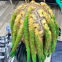 Dreadlocks