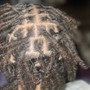 Loc  retwist