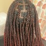 Bohemian Knotless Braids (medium)