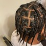 Feed in ponytail (8-12 braids)