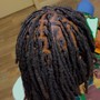 Starter Locs