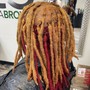 Starter Locs