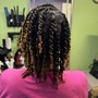 TAKEDOWN BRAIDS /TWISTS