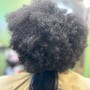 Big Chop  (Natural Hair)