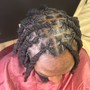 Comb Twist/  + two strand + style