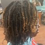 Starter locs