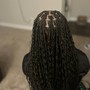 Two Braids