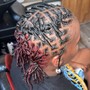 Starter locs