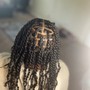 Men’s Braids (faded sides)