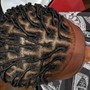 Starter Locs