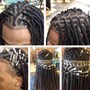 Starter Locs