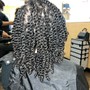 Two Strand Twists