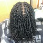 Two Strand Twists