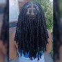 Passion Locs 26"