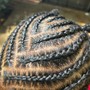 Comb Coils/ Starter Locs