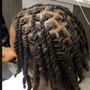 Retwist & style