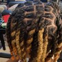 Comb Twist Starter Locs