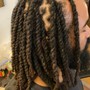 Plats/Braid Starter Locs