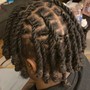 Comb Twist Starter Locs