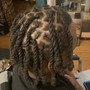 Plats/Braid Starter Locs