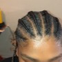 Starter Locs