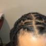 Starter Locs