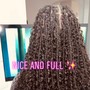 Lace Closure Sew In