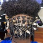 Starter Locs (regular)