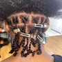 Starter Locs (regular)