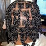 Comb Twist(starter locs)