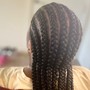 Two Feed-in Braids