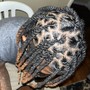 Poetic Justice Braids