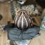 Tree Braids BoB