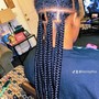 Feed in- Braided ponytail