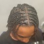 Starter Locs