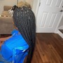 Feed in- Braided ponytail