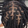 Starter Locs (Man Bun/Top Only)