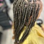 Box Braids