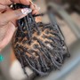 Micro Locs ( Hair Extensions not included)