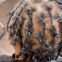 Starter Locs