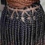 Poetic Justice Braids