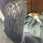 Senegalese Twists (Medium)