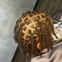 Adult retwist