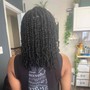 Natural/Protective Hairstyles