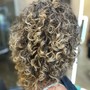 Root Touch Up