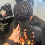 Classic Cornrolls